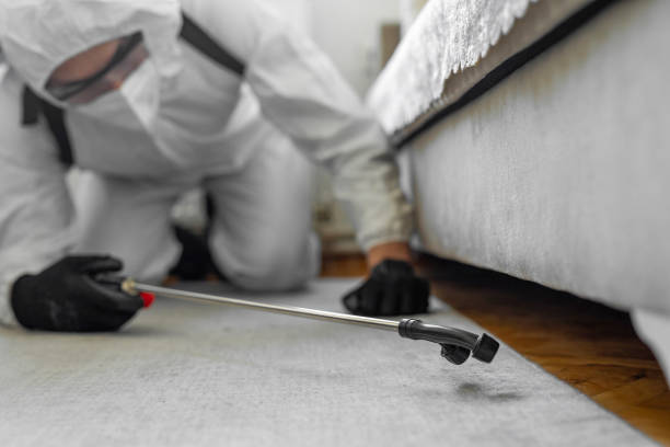 Professional Ant Control technician working in North River Shores, FL